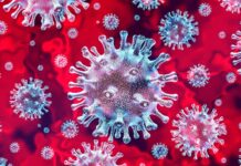 पंजाब में कोरोना विस्फोट, 4 जिलों में पाए गए 42 पॉजीटिव, 1 की मौत