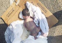 खाली प्लॉट में फेंके गए भ्रूण को मुंह में दबोच कर गली में घूमता रहा कुत्ता, राहगीर ने छुड़ाया