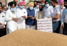(खन्ना) अनाज मंडी में मंत्री आशु ने किया गेहूं खरीद का उद्घाटन