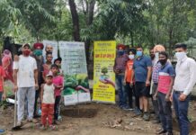 ਇਸ਼ਰੇ ਸੁਸਾਇਟੀ ਵੱਲੋਂ ਮਨਾਇਆ ਗਿਆ ਵਿਸ਼ਵ ਵਾਤਾਵਰਣ ਦਿਵਸ