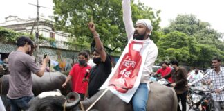महंगाई के खिलाफ जाप नेताओं ने किया भैंसों के साथ प्रदर्शन