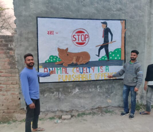 पाॅलिथिन में खाना ना फेंके-सब जान ऐक समान- कृप्या गाडी धिरे चलायें के नारे लगा कर ह्यूमानिटी र्फस्ट संस्था ने दिवारों पर चित्रकला बना कर किया लोगो को जागरूक ।
