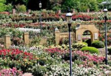 ਤੀਜਾ ਵਾਤਾਵਰਨ ਸੰਭਾਲ ਮੇਲਾ-2024 -3 ਤੇ 4 ਫਰਵਰੀ ਨੂੰ ਨਹਿਰੂ ਰੋਜ ਗਾਰਡਨ ਲੁਧਿਆਣਾ ਵਿਖੇ ਹੋਵੇਗਾ ਆਯੋਜਨ, ਡਿਪਟੀ ਕਮਿਸ਼ਨਰ ਵੱਲੋਂ ਜ਼ਿਲ੍ਹਾ ਵਾਸੀਆਂ ਨੂੰ ਸ਼ਾਮਿਲ ਹੋਣ ਅਤੇ ਐਵਾਰਡ ਲਈ ਕਰਨ ਅਪਲਾਈ