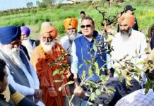 ਵਿਸ਼ਵ ਸਿੱਖ ਵਾਤਾਵਰਨ ਦਿਵਸ ਮੌਕੇ ਤੇ ਸੰਤ ਬਲਬੀਰ ਸਿੰਘ ਸੀਚੇਵਾਲ, ਸੰਜੀਵ ਅਰੋੜਾ ਅਤੇ ਲੁਧਿਆਣਾ ਪੂਰਬੀ ਦੇ ਵਿਧਾਇਕ ਦਲਜੀਤ ਸਿੰਘ ਭੋਲਾ ਗਰੇਵਾਲ ‘ਬੁੱਢਾ ਦਰਿਆ’ ਦੇ ਕੰਢੇ ਲਗਾਏ ਬੂਟੇ